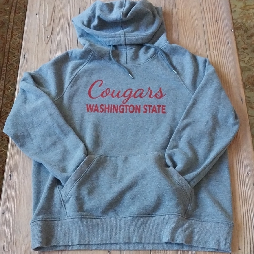 Champion Gray and Red Collegiate Sweatshirt